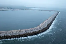 心相近丨太平洋对岸的“邻居”图片