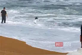 勇救落水母女的广东“白衣小哥”，入选“中国好人榜”候选人图片