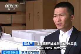 火到海外！出口规模超1600亿元，有企业订单排到8月以后图片