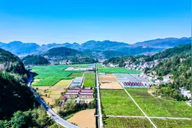 沿河：羊肚菌制种生产忙图片