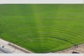 塔克拉玛干沙漠如何“锁边”？治沙三件套显成效→图片