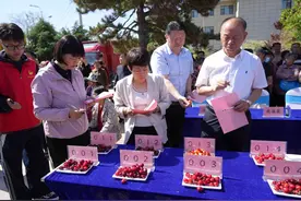 济南长清：精准培育，创新赋能，小樱桃撬动大产业图片