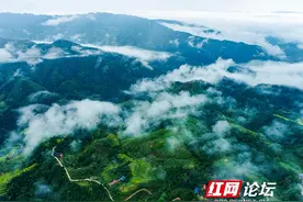 怀化中方县：高山瑶乡艾飘香图片