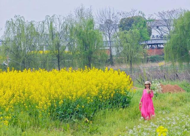 清明去哪玩？来黄陂 “榨" 出一整个春天！