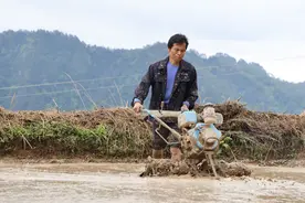 从江县庆云镇：雨后天晴耕作忙图片