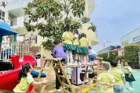 “枇”日相约 “杷”趣童年图片