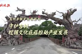 茂名柏桥村：守护古树壮大荔枝产业图片