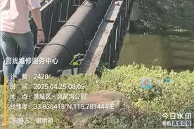 坐在过河供水管道上钓鱼？罚！亳州市自来水公司公布监督电话图片