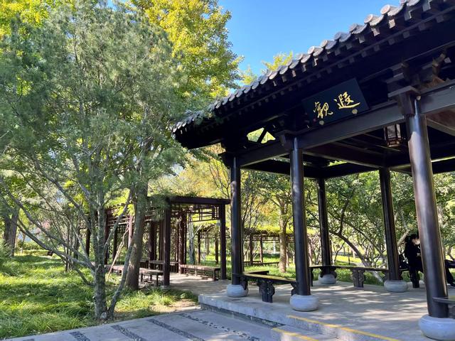 今日入伏，玉渊潭赏荷、观演、研学一站式解锁夏日清凉