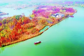 生态修复山水相融 科技驱动产业升级——江苏徐州探索资源型城市转型高质量发展新路子图片