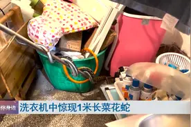 吓惨了！女子清理洗衣机，打开后发现…图片