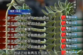 操纵智力残疾人银行贷款背债200万元 两人被判刑图片