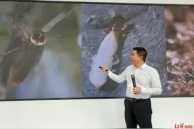 探访四川西昌“全球最大蟑螂基地” “小强”成制药“原料”图片