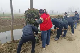 盐城滨海滨海港镇：挥汗轮锄植树忙 绿色屏障筑起来图片