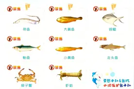 5月1日起浙江全面进入休渔期 8种海产品8日起禁售图片