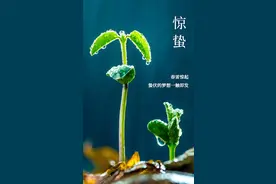 她山拾光录|母亲的惊蛰图片