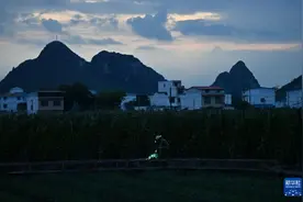 可爱的乡村——田园“娘子军”图片