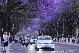 游客眼中的昆明|原来你是这样的春城图片