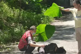 发现深圳山中野居男子的快递员：蹲守1个月找到流浪人员住处，已助7个家庭团圆图片