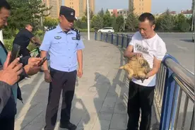 塞纳河畔惊现“外来物种”，经鉴定原来是......图片