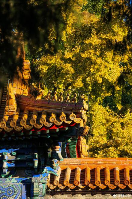 收藏！秋天是写在古都的诗篇