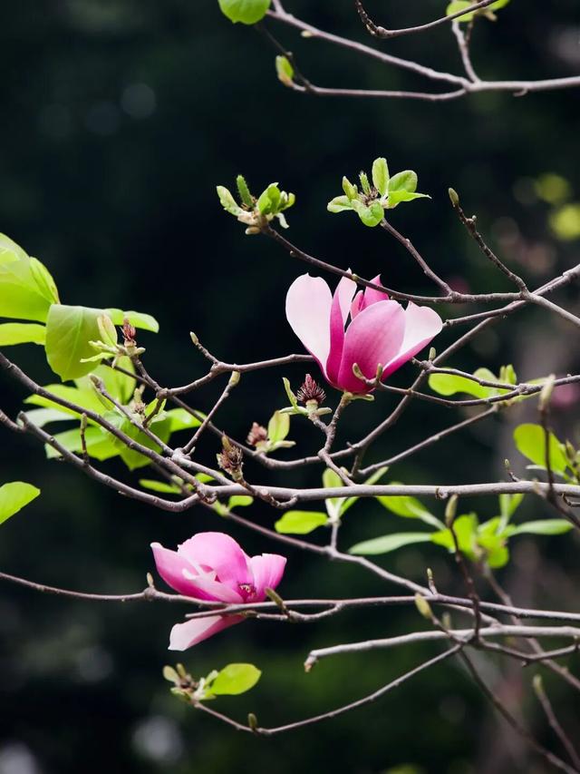 生日快乐！今天，它104岁啦！