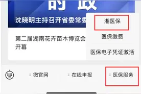 湘潭职工医保个人账户可为家人代缴城乡居民医保图片