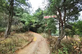 新华全媒+丨记者手记：家庭农场的“生意经”图片