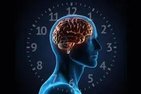 Nature重磅：揭开睡眠不足为什么会损害记忆力图片