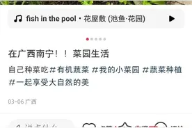60元起一个月！南宁掀起“租地种菜”热潮图片