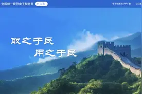 自然人代开数电发票（普通发票）操作指引 （山东省电子税务局网页版）图片
