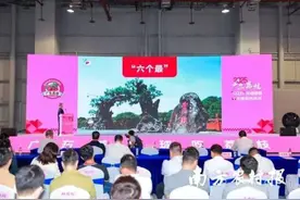 茂名荔枝：“六个最”引领全球荔枝产业发展图片