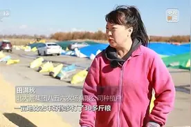 焦点访谈丨深耕科技沃土 培植智慧农业图片