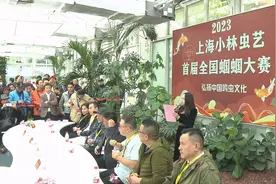 蝈蝈比赛是怎样的？这个首届大赛吸引了全国各地的虫友们……图片