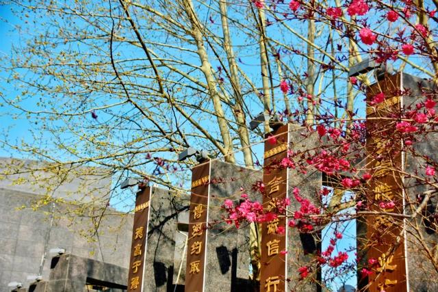 春色满城！定州藏不住的温柔与浪漫