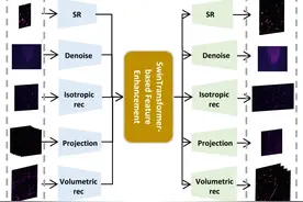 复旦AI for Science团队造“实验神器”：显微镜秒变高清相机图片