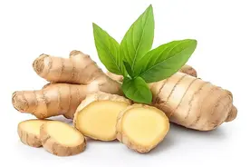 姜也有大家族图片