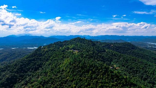 组个“橘” “宜”起“都”来解锁新乐趣→