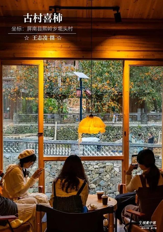走！去屏南！这些柿子打卡点请收好→