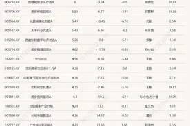 A股“大奇迹日”这天，哪些基金涨得最欢？图片