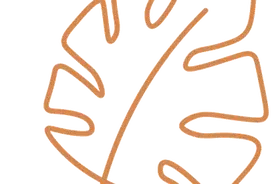 “育禾润万家”家庭教育亲子活动（第54期）——认识毛毛虫的一生图片