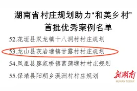 龙山县村庄规划入选省级优秀案例图片