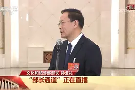 文旅部部长：将治理“不合理低价游”“强迫购物”等问题图片