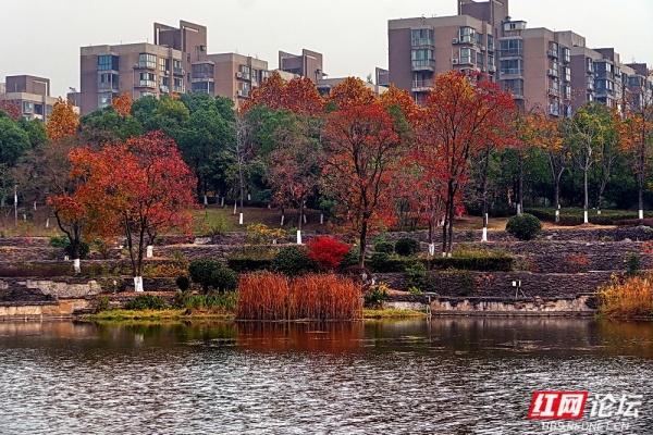 圭塘河生态公园：时光漫过木栈道，城与自然撞满怀