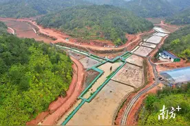 一粒丝苗米的成长之旅｜梅县区全域土地综合整治系列报道②图片