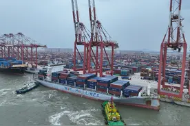 超50吨海运泰国榴莲抵穗，南沙边检联合海事保障抢“鲜”通关图片