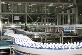 今年1至4月，梅州景田百岁山矿泉水厂基地产值同比增长约3倍图片