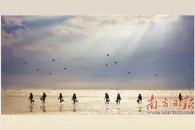 跟着潮汐去“寻宝”图片