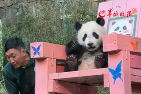 外卖配的汤喝出“塑料片”？网友：广东IP一眼认出，放心喝图片