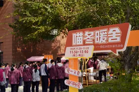 ​有学姐背着猫粮赶回来，为一群流浪猫，杭高钱塘学校发起一场暖心活动图片